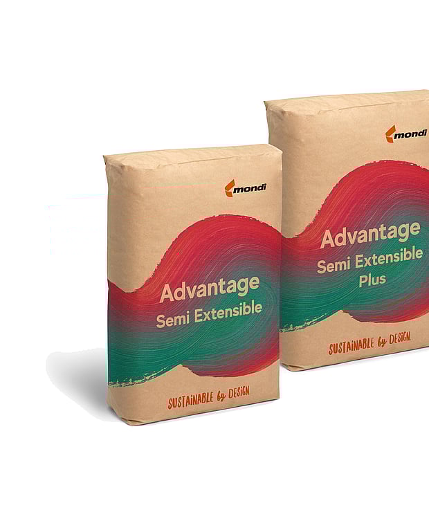 Sack on sale kraft paper